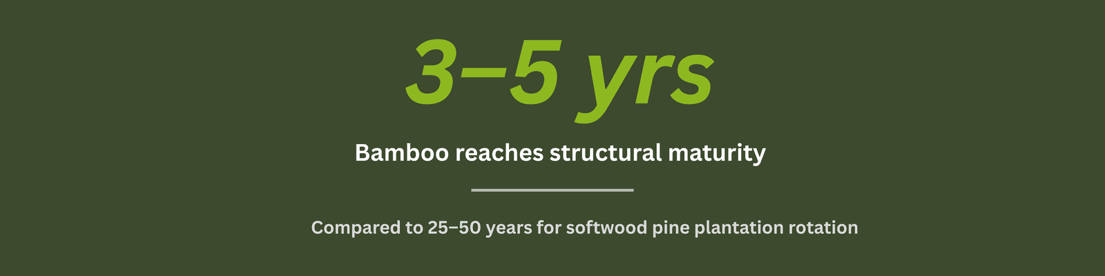 Engineered bamboo structural solution for sustainable construction and embodied carbon reduction in Australia