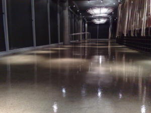 Ribs and Rump Homebush Polished concrete